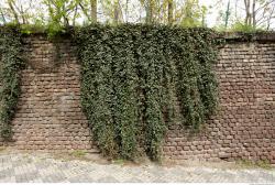 Photo of Mixed Textures